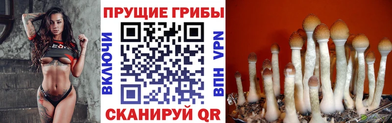 Галлюциногенные грибы Magic Shrooms  Купить  Костомукша 